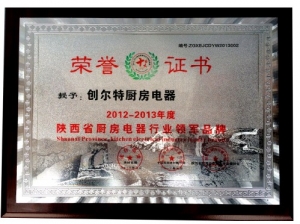 2012年-2013年領軍品牌